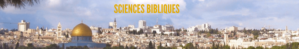SCIENCES BIBLIQUES 1 1