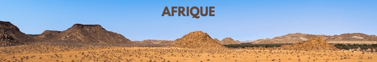 afrique 1