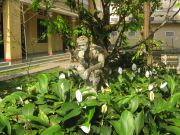 IMG4341
